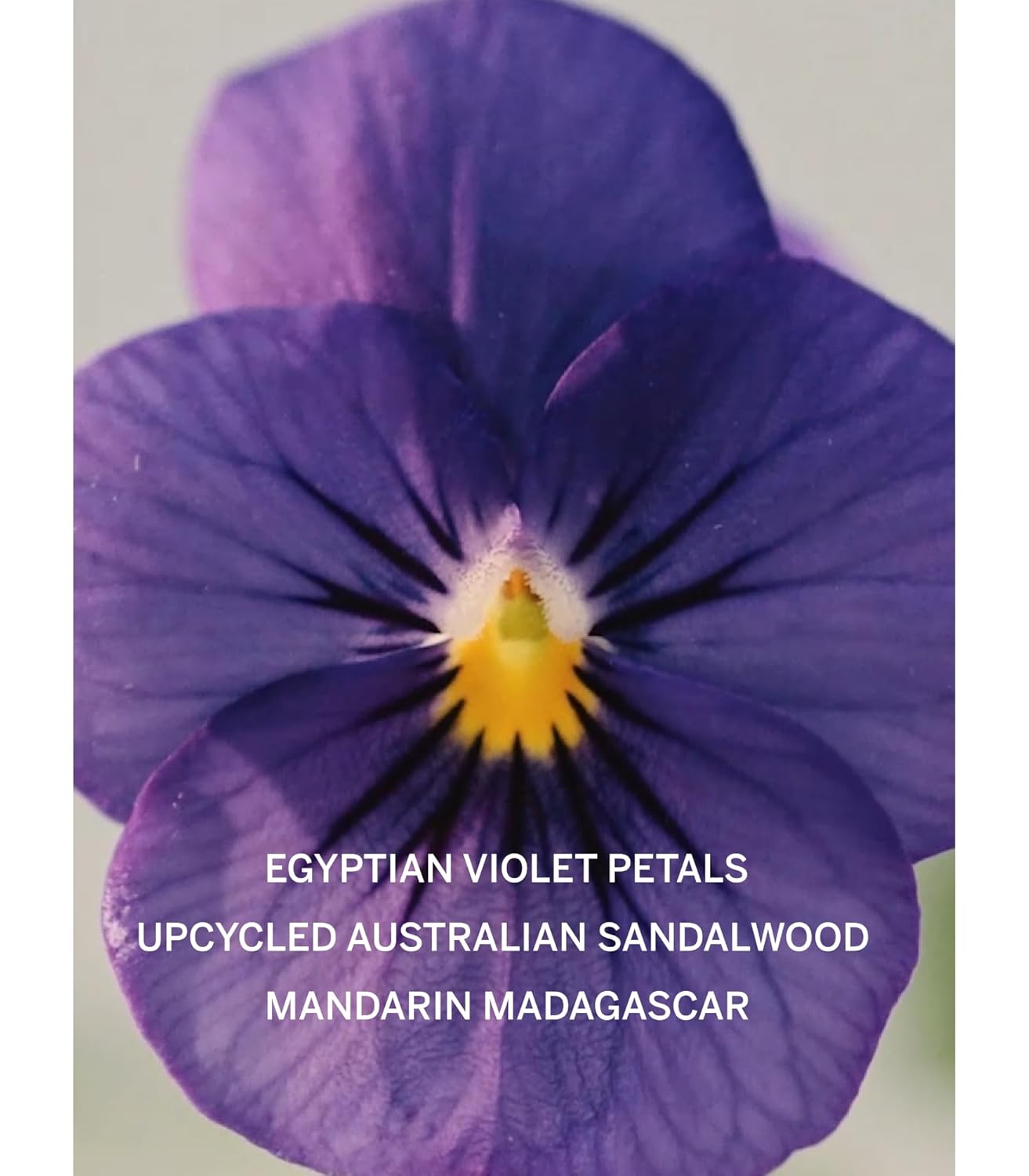 Victoria's Secret Bare Fragrance Mini Mist, Notes of Australian Sandalwood, Mandarin Madagascar & Egyptian Violet, Body Spray for Women (2.5 oz)